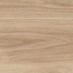 Cedar