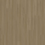 Honey Blackbutt