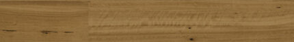 Southern Blackbutt