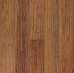 Native Blackbutt