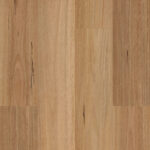 Native Blackbutt