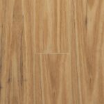 Blackbutt