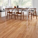 Blackbutt - Image 2