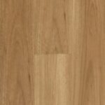 Blackbutt