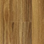 NSW Spotted Gum