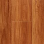 Sydney Blue Gum