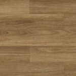 NSW Spotted Gum