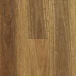 Spotted Gum