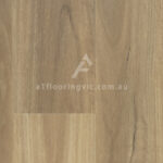 Coastal Blackbutt