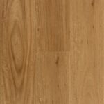 Coastal Blackbutt