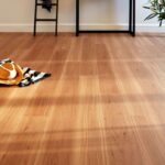 Coastal Blackbutt - Image 3