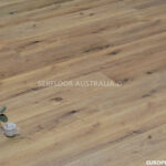 European Oak