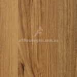 Feathertop Spotted Gum