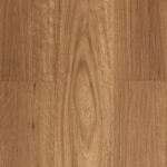 New England Blackbutt