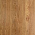 Spotted Gum