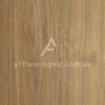 Spotted Gum