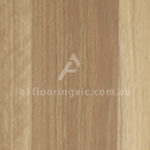 Blackbutt