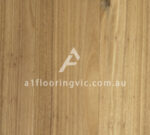 Blackbutt