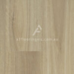 Tasmanian Oak