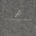 Anchor Grey