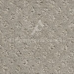 Grey Canvas